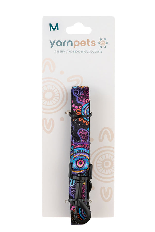 Celebration 'Animal Welfare League' Dog Leash