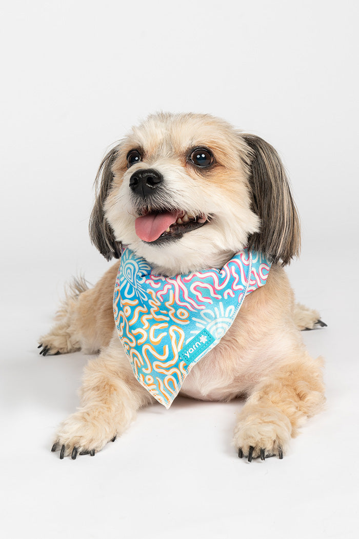 Sunset Over The Reef 'Animal Welfare League' Dog Bandana